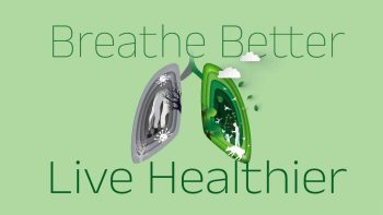 Lung Friendly Charcoal Free Natural Incense Sticks Buy Online at Surbhika.com