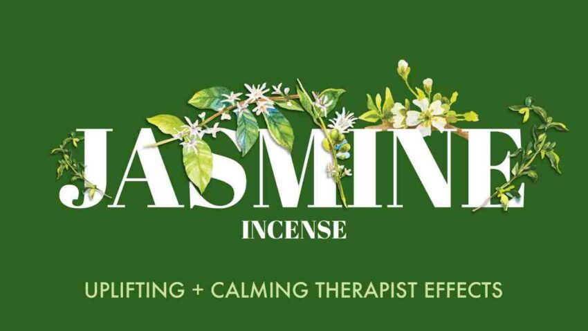 Jasmine Incense - Calming Therapist Effect - Surbhika Classic Series