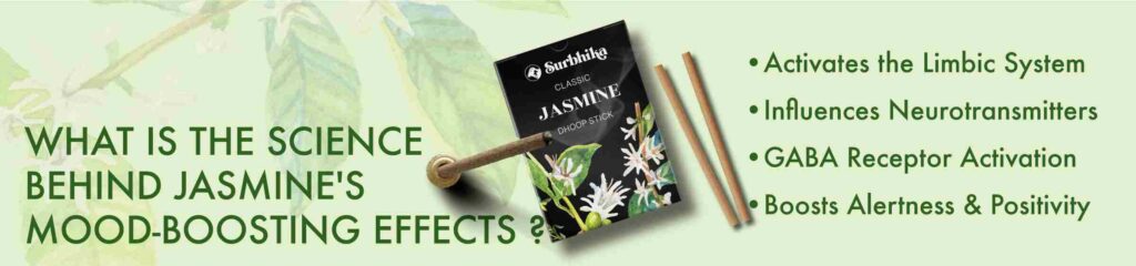 Jasmine Fragrance - Agarbatti, Dhoop Sricks, Dhoop Cone to uplift your mood by surbhika – Surbhika Herbal Jasmine Fragrance - Agarbatti, Dhoop Sricks, Dhoop Cone to uplift your mood by surbhika