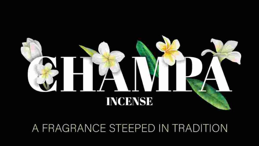 The Art of Relaxation: Champa Incense Explained - Classic Series by Surbhika