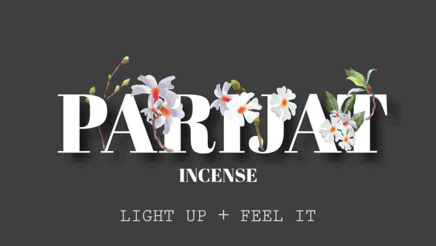 Why Parijat Incense is called Calming, Mood savoury & Sleep supportive - Blog by Surbhika.com