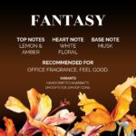 Notes Inspired by Aromatherapy Fantasy Dhoop Cone - Natural - Organic -Classic -Series -Surbhika 1