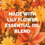 Natural Inspired by Aromatherapy Fantasy Dhoop Cone - Natural - Organic -Classic -Series -Surbhika 1