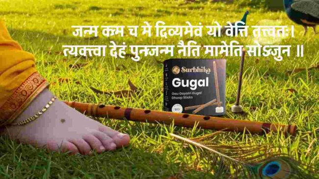 Celebrating Janamashtami 2025 with Surbhika Dhoop Incense