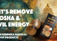 Natural Dhoop Products for Navratri: Remove Doshas, Evil Energy Invite Positivity blog by Surbhika