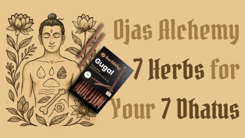 How to Boost Ojas - Vital Immunity by Burning Specific Herbs - Blog by Surbhika.com