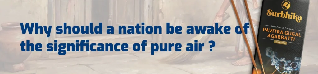 Significance of Pure Air India - Surbhika.com