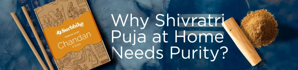 Why Shivratri puja needs purity blog by Surbhika.com