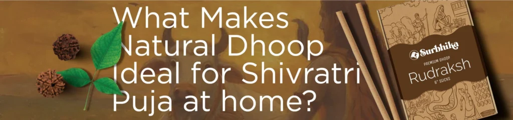 What Makes Natural Dhoop Ideal for Shivratri Puja at Home ? -Surbhika.com